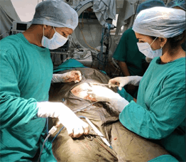surgery